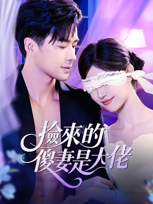 撿來的傻妻是大佬 封面