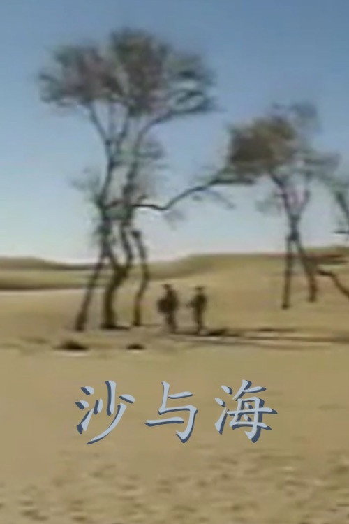沙与海 封面