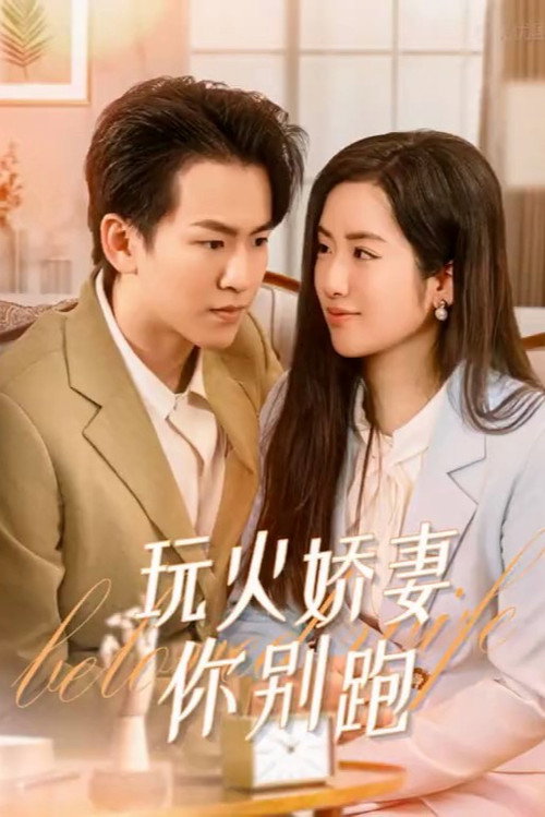 玩火娇妻你别跑 封面