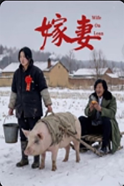 嫁妻 封面