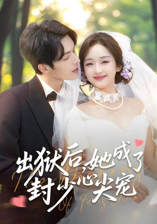 出狱后,她成了封少心尖宠 封面