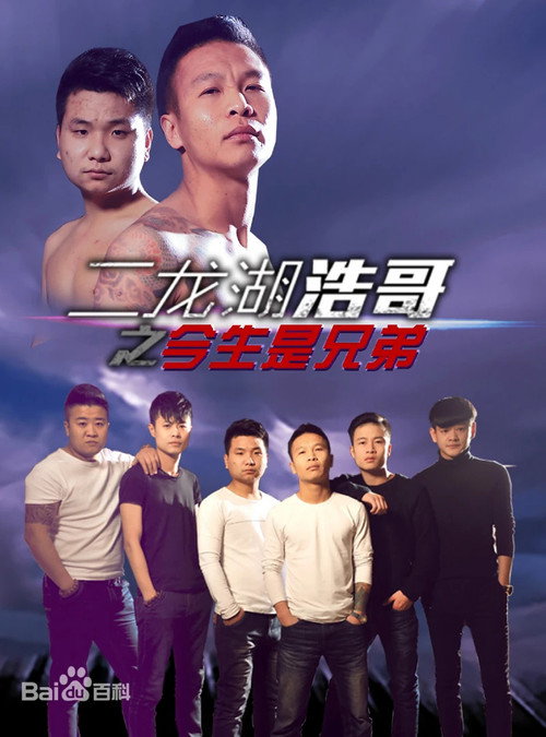 二龙湖浩哥之今生是兄弟 封面