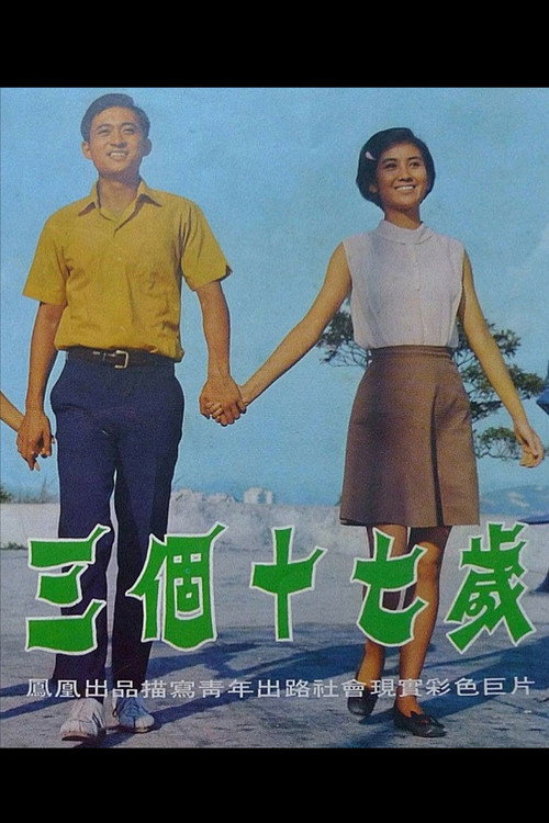 三个十七岁 封面