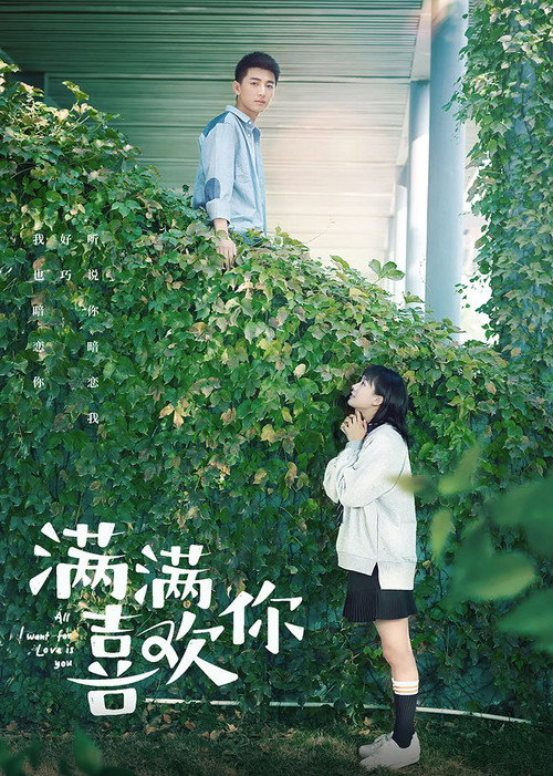满满喜欢你 封面