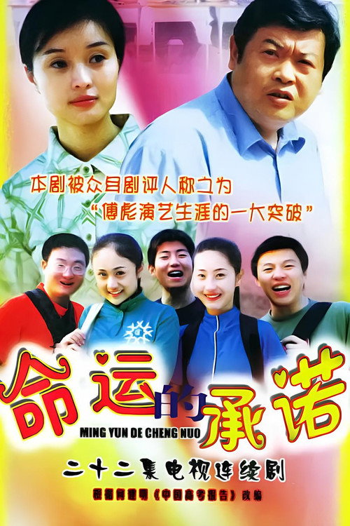命运的承诺 封面