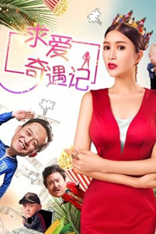 求爱奇遇记 封面