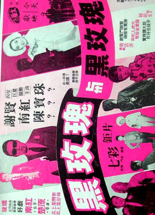 黑玫瑰與黑玫瑰 封面
