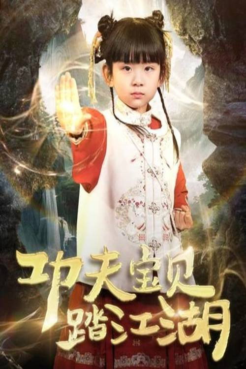 功夫宝贝踏江湖 封面