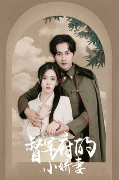 督军府的小娇妻 封面