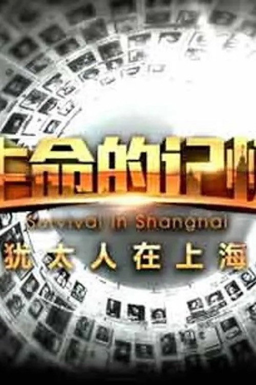生命的记忆:犹太人在上海 封面