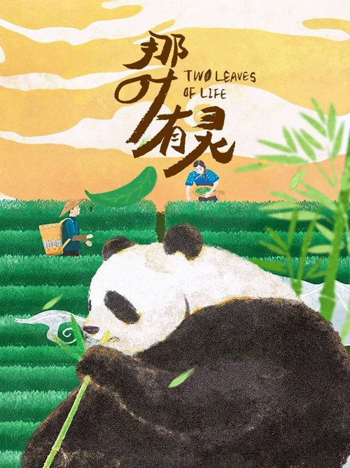 那叶有灵 封面