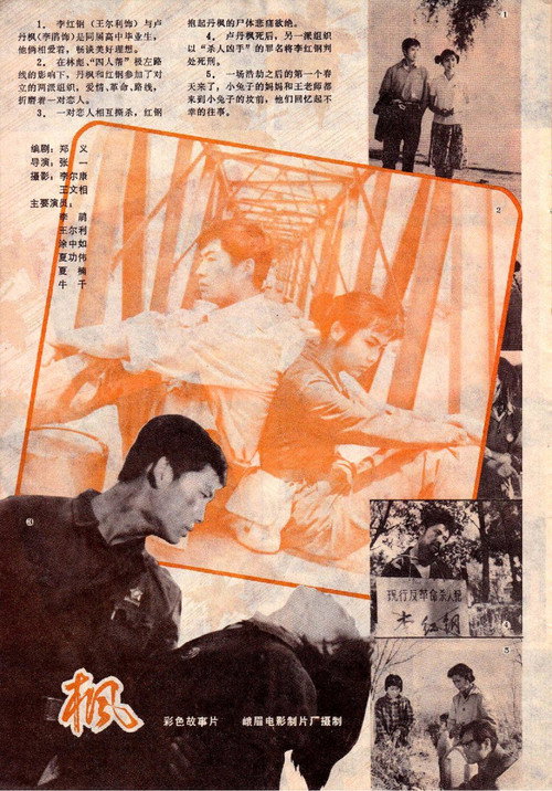 枫 封面