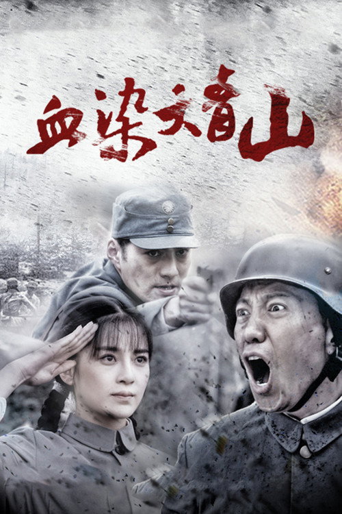 血染大青山 封面