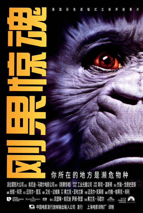 刚果惊魂 封面