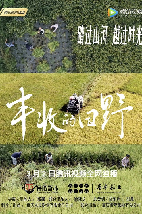 丰收的田野 封面