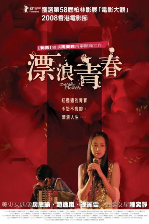 漂浪青春 封面