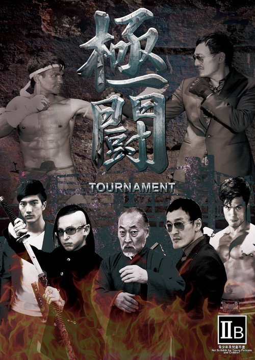 极斗 封面