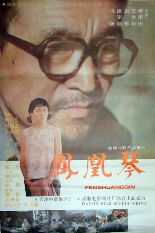 凤凰琴 封面