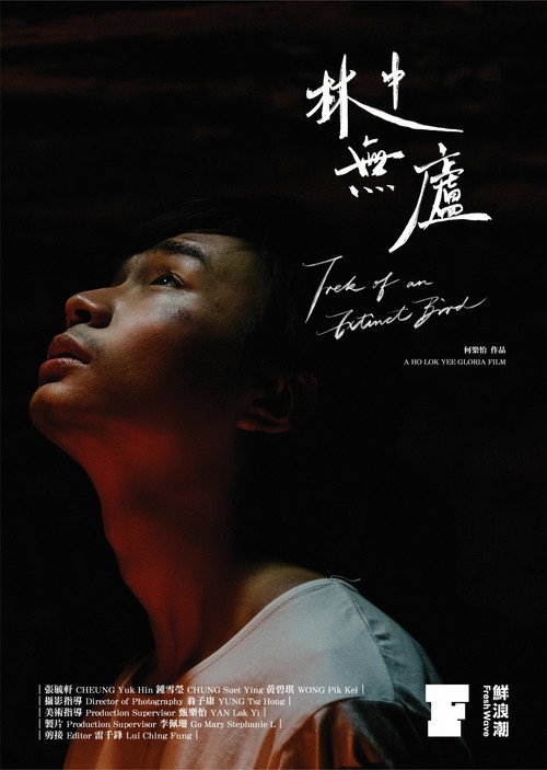 林中無廬 封面