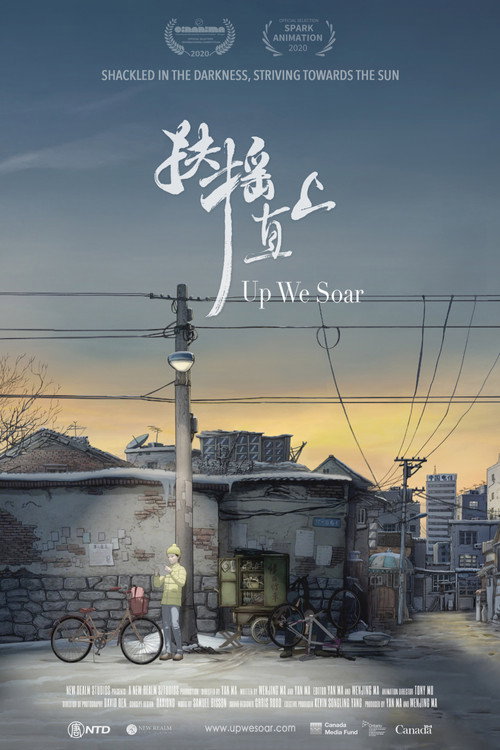 扶摇直上 封面