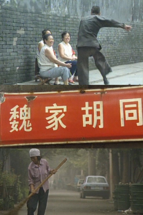 魏家胡同 封面