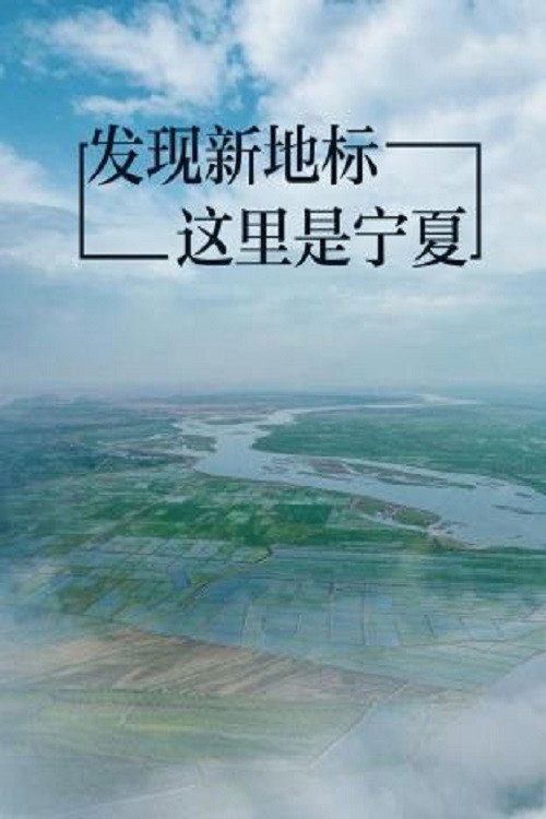 发现新地标——这里是宁夏 封面