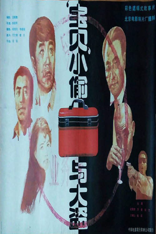 宝贝小偷与大盗 封面