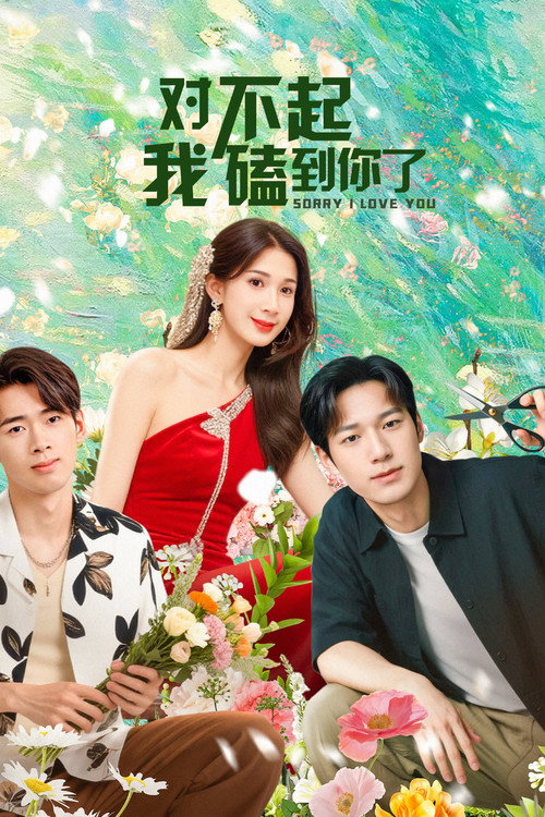 对不起，我磕到你了 封面