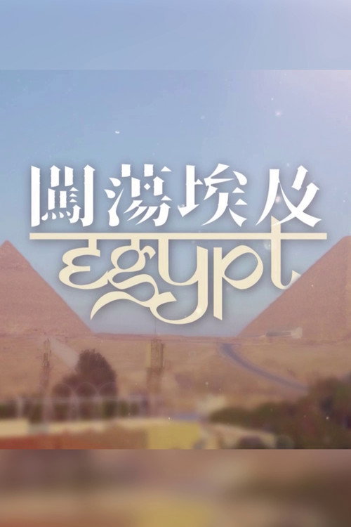 闯荡埃及 封面