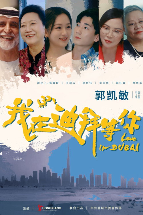 我在迪拜等你 封面