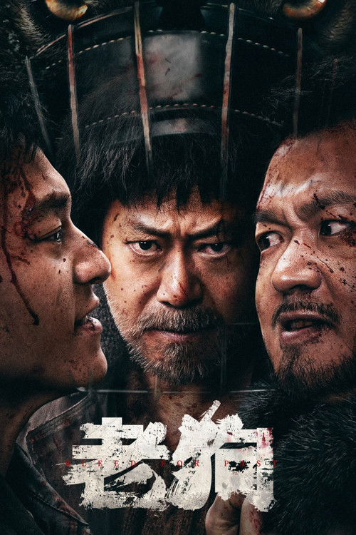 老狗 封面