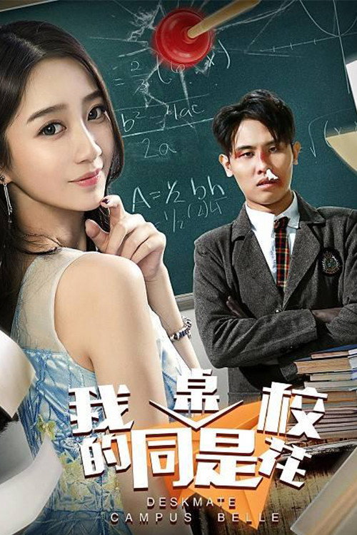 我的同桌是校花 封面