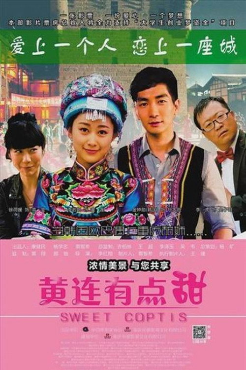 黄连有点甜 封面