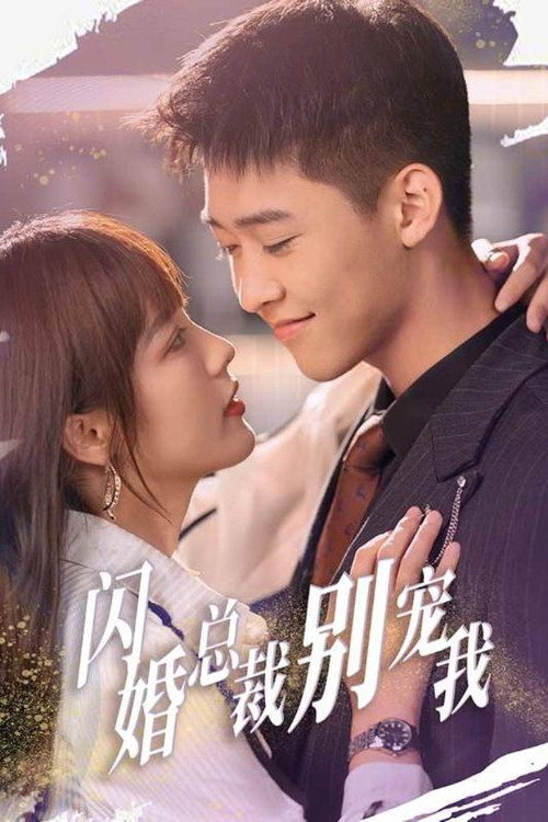 闪婚总裁别宠我 封面