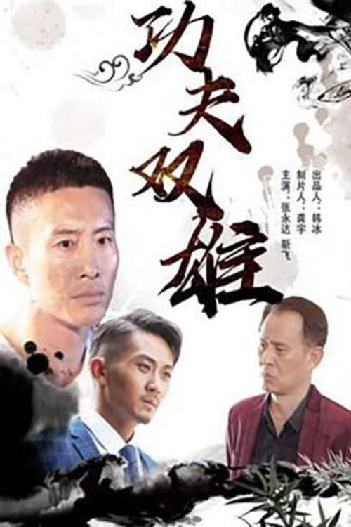 功夫双雄 封面