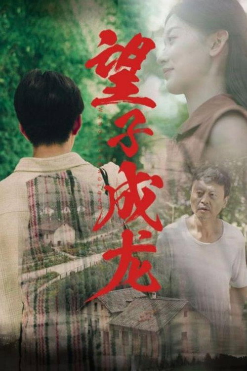 望子成龙 封面