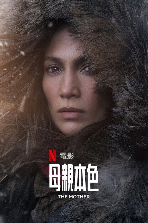 母亲本色 封面