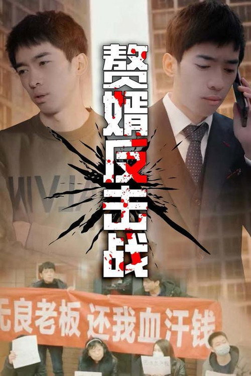赘婿反击战 封面