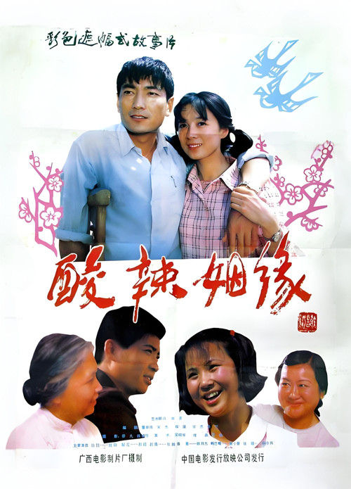 酸辣姻缘 封面