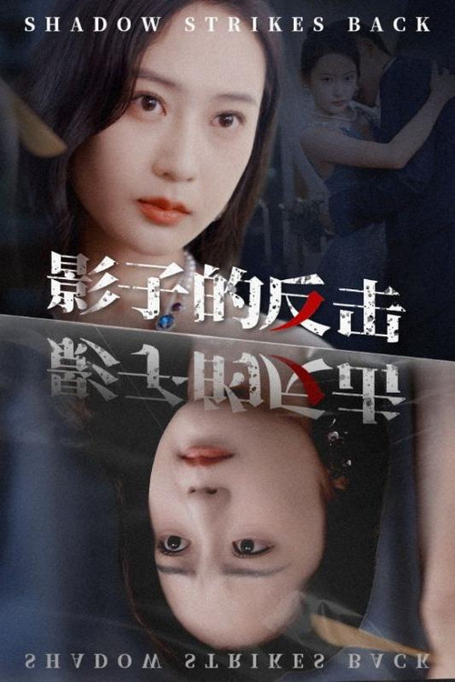 影子的反击 封面