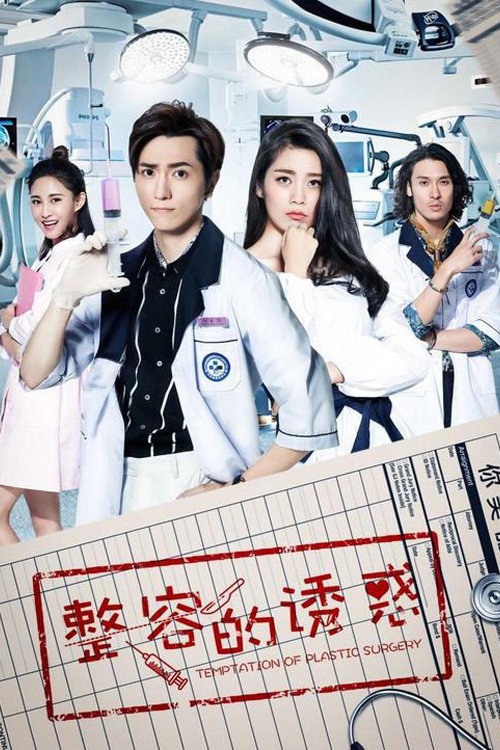 整容的诱惑 封面