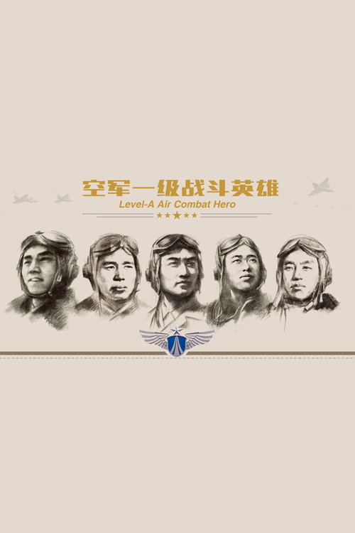 空军一级战斗英雄 封面
