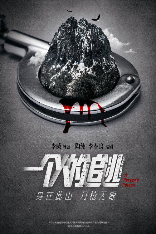 一个人的追逃 封面