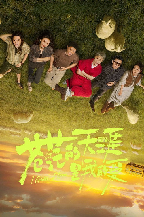 苍茫的天涯是我的爱 封面
