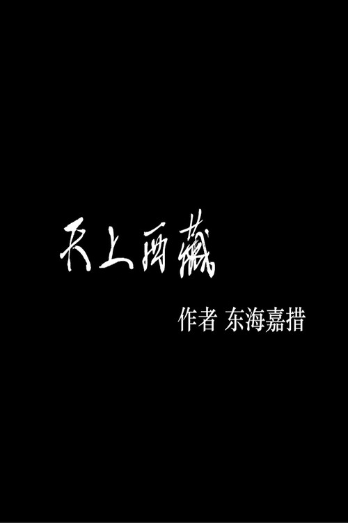 天上西藏-东海嘉措 封面