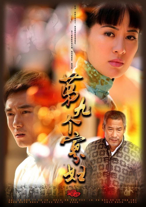 第九个寡妇 封面