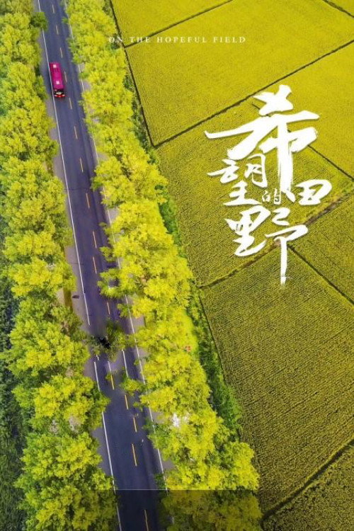 希望的田野 封面
