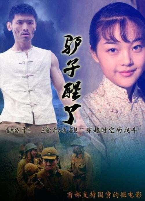 驴子醒了 封面