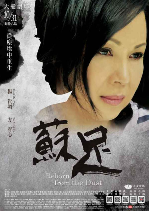 苏足 封面