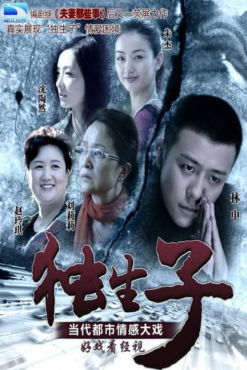 独生子 封面
